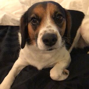 Meet your Posher, Rae ann